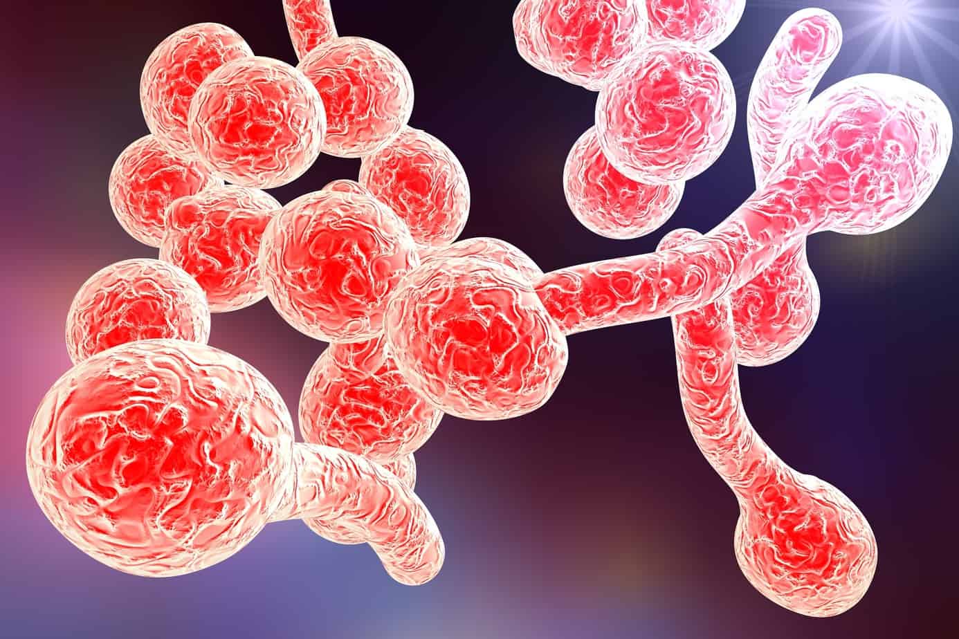 Cancer Develops From Fungal Infections, Like Candida • Healing the Body